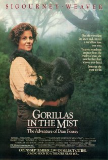 Gorillas in the Mist Poster