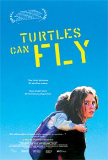 Turtles Can Fly Poster